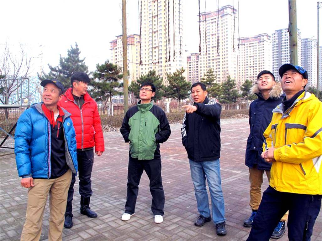 绿茵体育备用网址